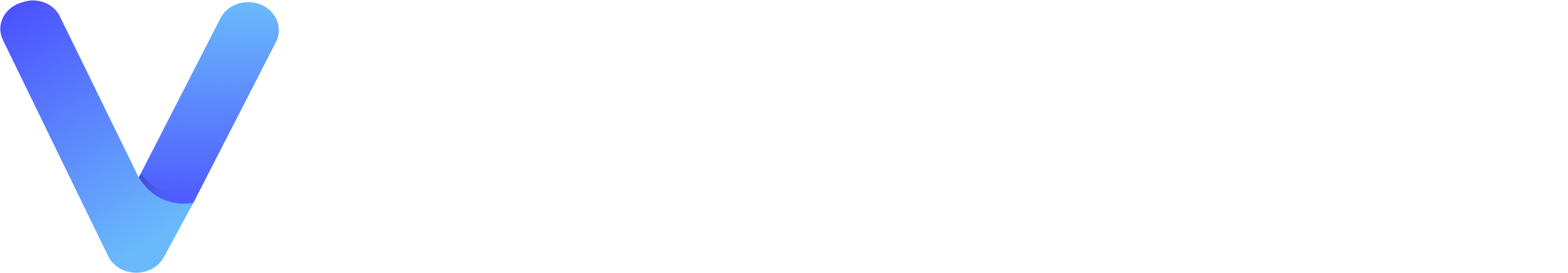 Phenex Vision Logo